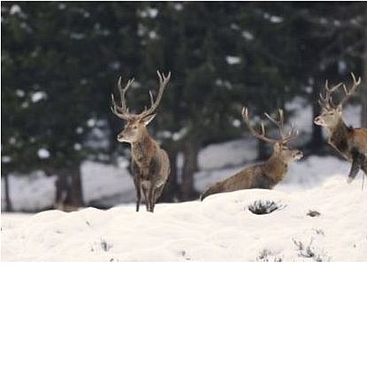Activity programme in the Hohe Tauern National Park