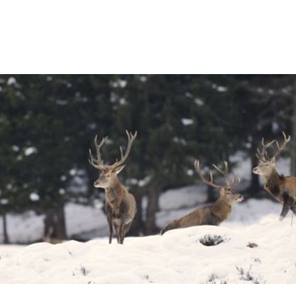 Aktiv-Programm im Nationalpark Hohe Tauern